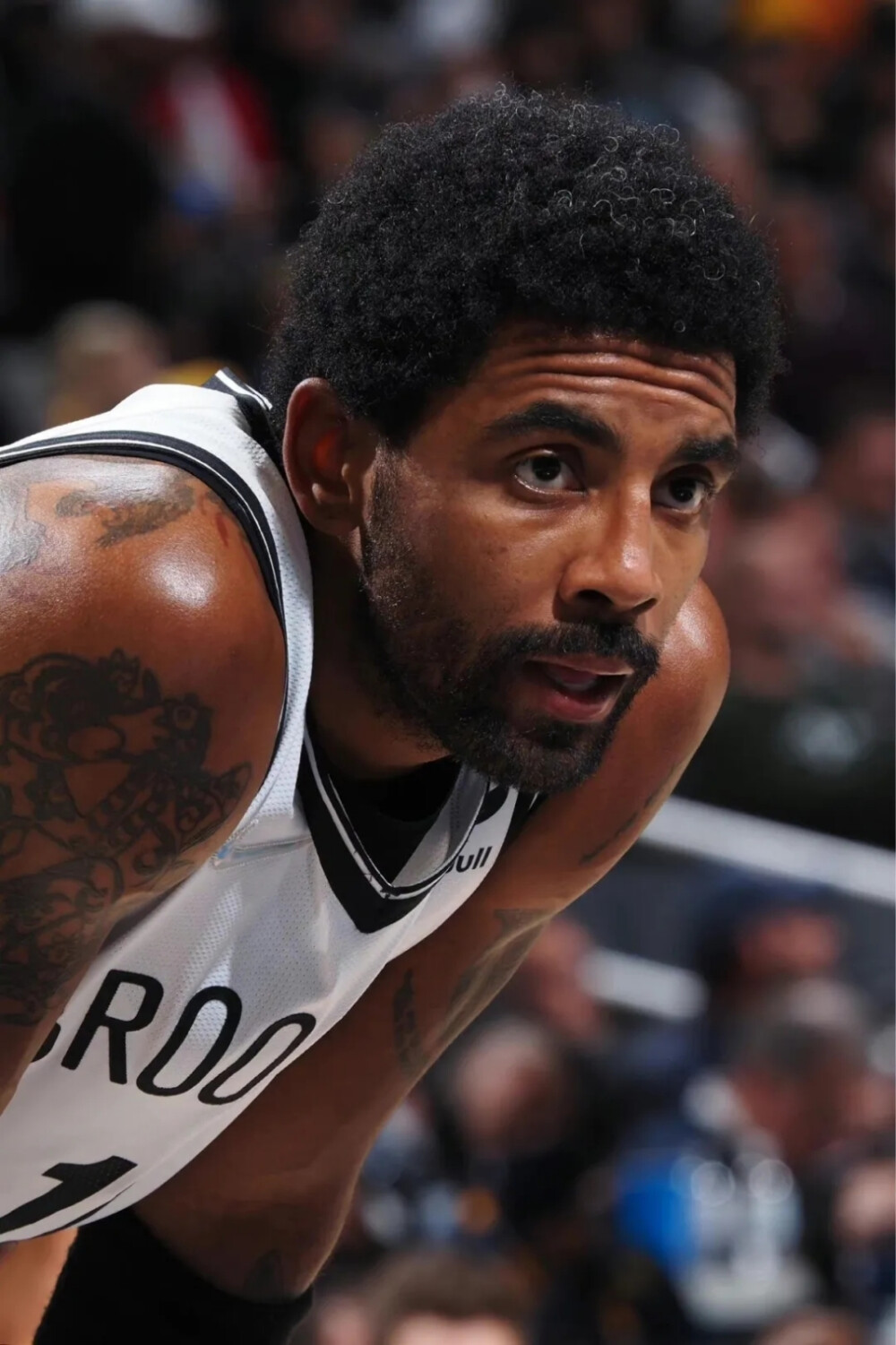 织进攻的重 织进攻的重